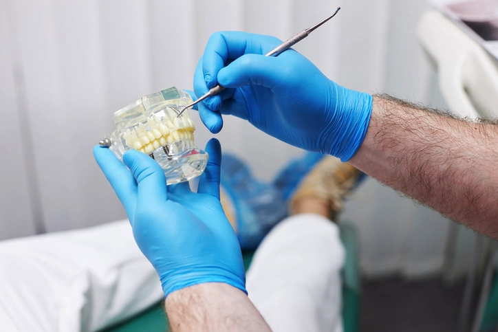 dentist holding a teeth model